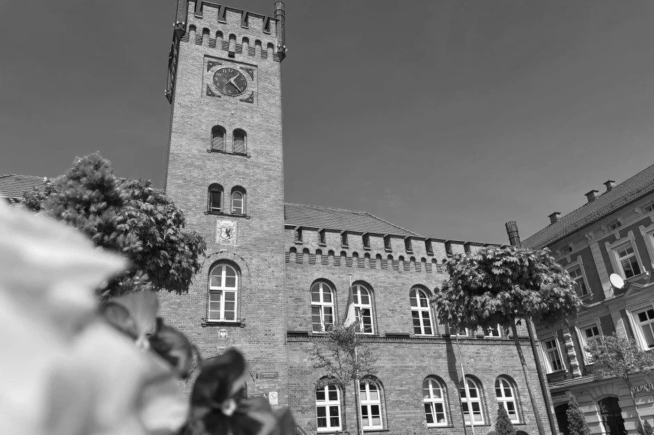 Budynek ratusza dookoła drzewa rosnące przed wejściem do budynku w pobliżu kancelarii adwokata w Szczecinku